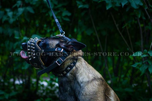 Dog Muzzle for Belgian Malinois