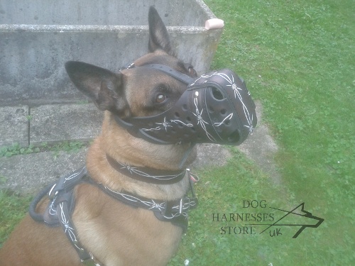 Leather Dog Muzzle