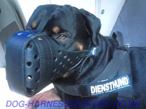 Service Dog Muzzle