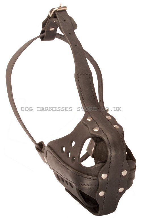 Service Dog Muzzle UK