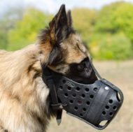 Dog Muzzle for
Tervuren UK Leather dog muzzle for tervuren uk