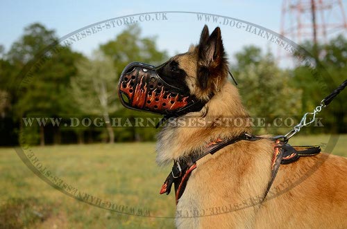 Tervuren Muzzles