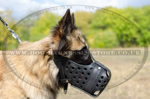 Tervuren Muzzles