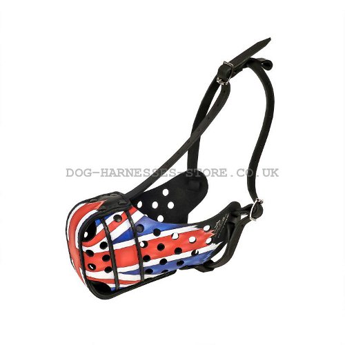 UK Dog Muzzle