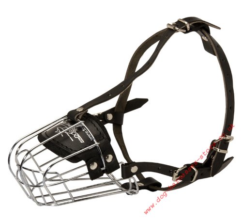 Wire Basket Dog Muzzle