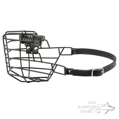 Basket Dog Muzzle in UK