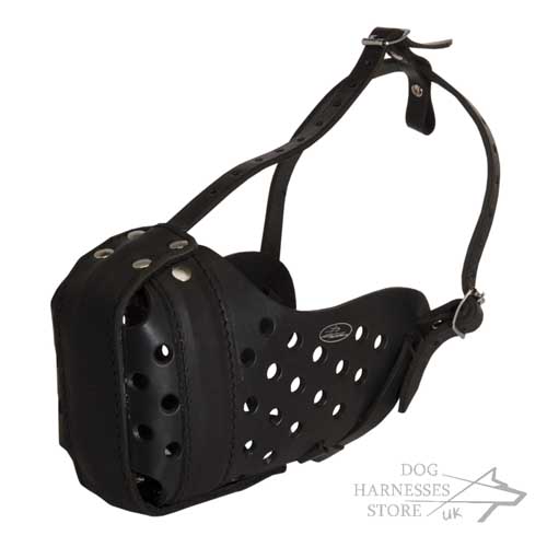 Best Leather Dog Muzzle