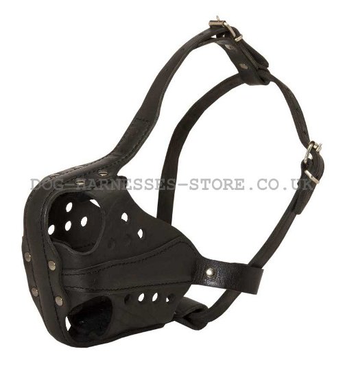 Working Dog Muzzle UK