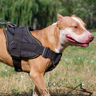 Dog Sport Harness Nylon for Pitbull, Handle and Padded Chest