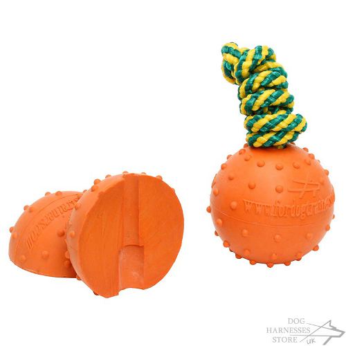 Dog Toy Ball