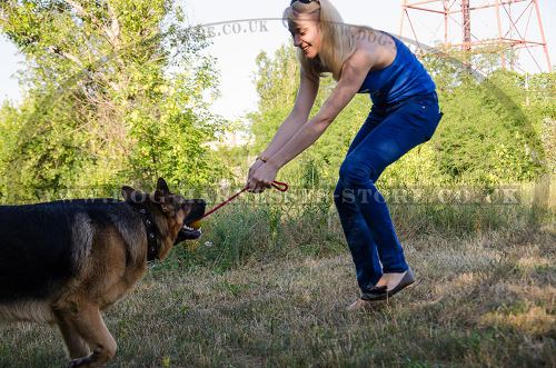 Dog Rubber Ball