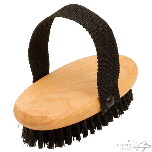 Best Dog Brush