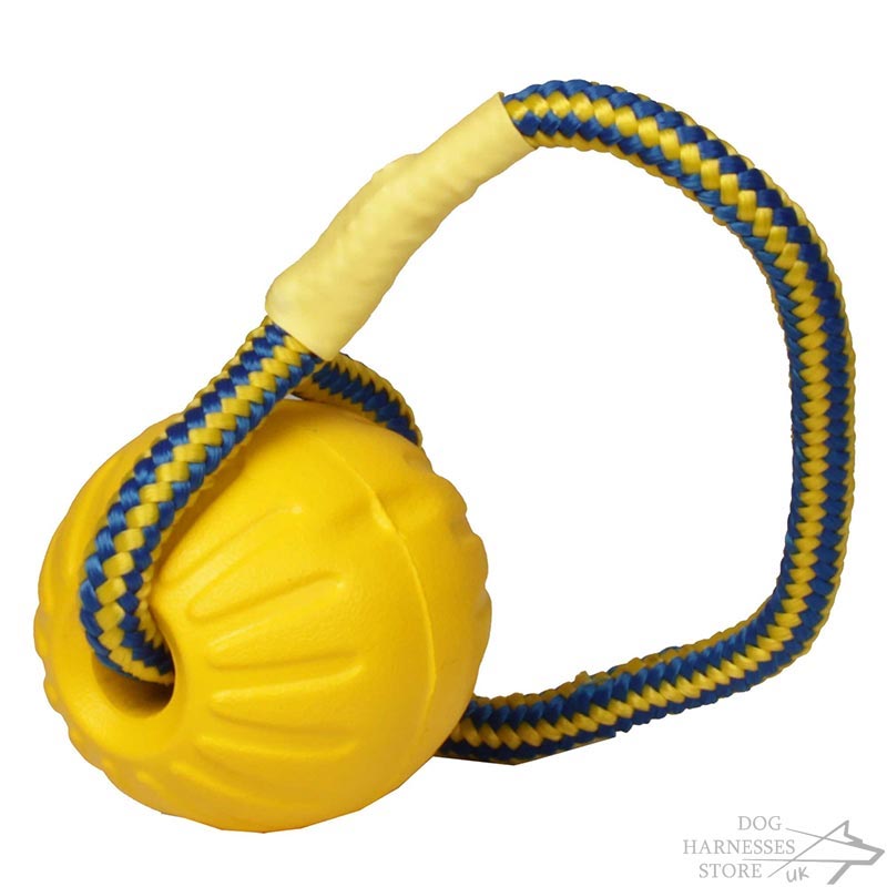 Foam Ball for Dogs with a Rope UK