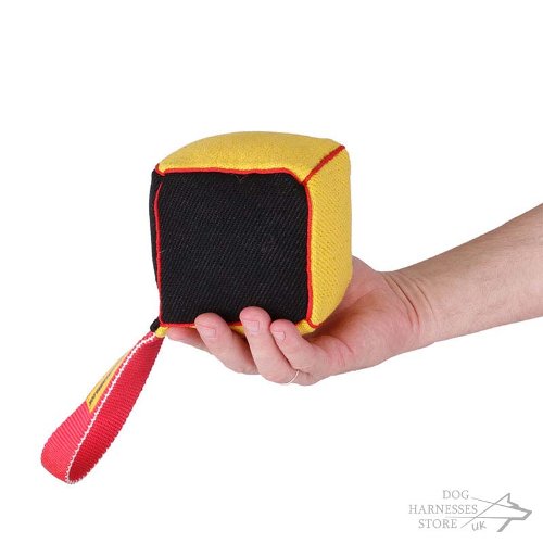 Dog Bite Training Toy