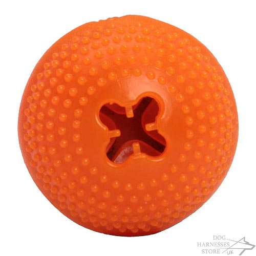 Round Toy With Treat In Middle Dog Round Toy With Treat In Middle Dog