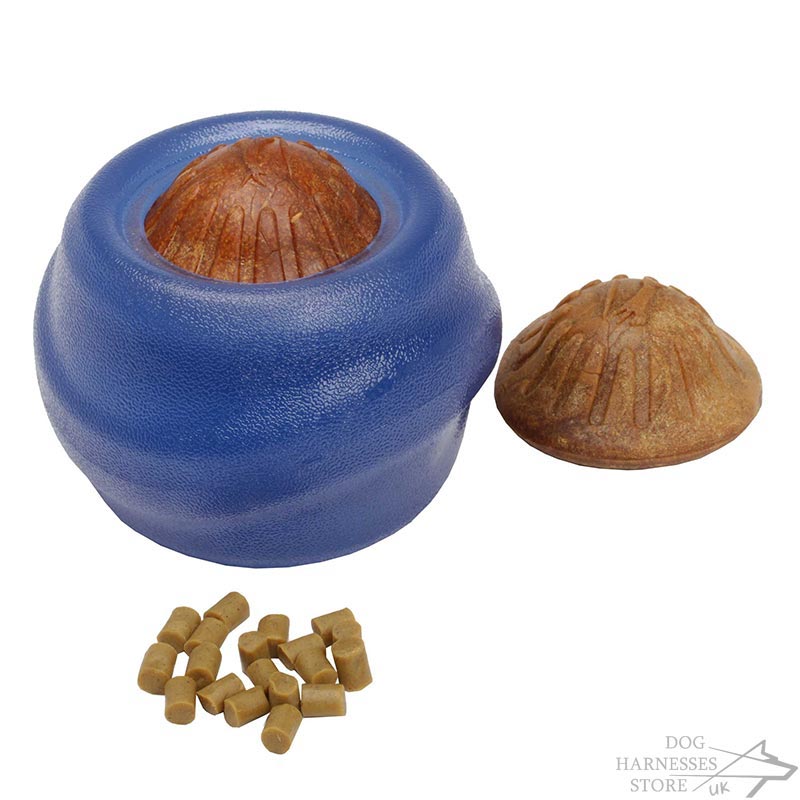 The Best Dog Toy for Large Dogs £29.90