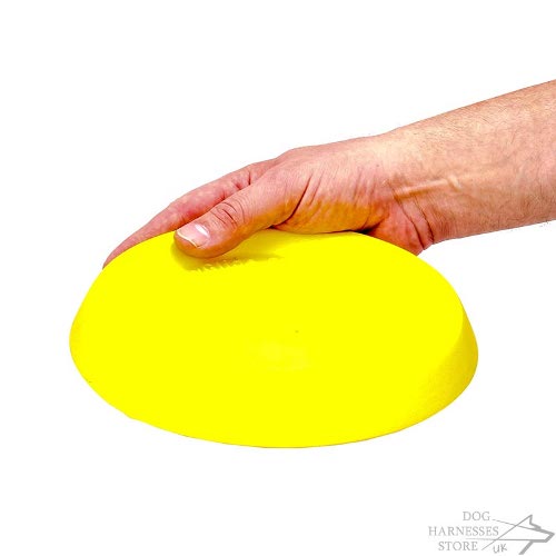 Dog Frisbee Disk UK