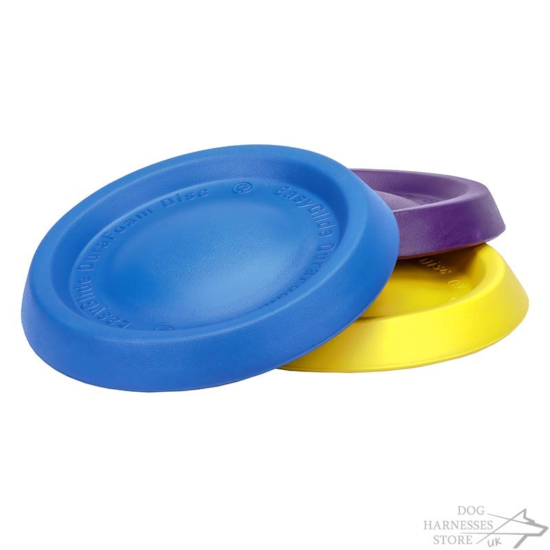How To Train Your Dog To Play Frisbee How To Train Your Dog To Play Frisbee