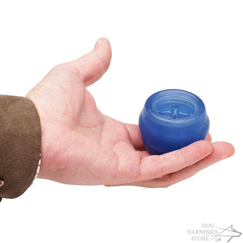 toys for boredom best for boredom small size 163 15 60 toys for boredom best for boredom small size 163 15 60