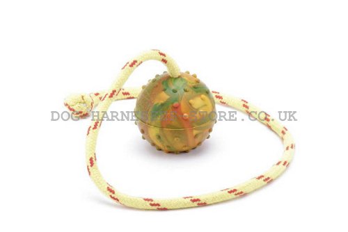 Dog Training Ball on Rope