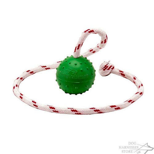 Dog Training Ball on String