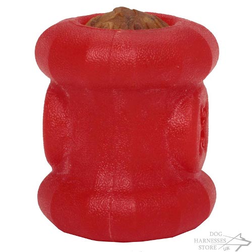 Dog Treat Holder