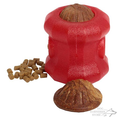 Educational Dog Treat Toy UK