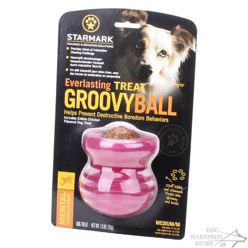 Groovy Ball Dog Toy for Medium Dogs £24.00