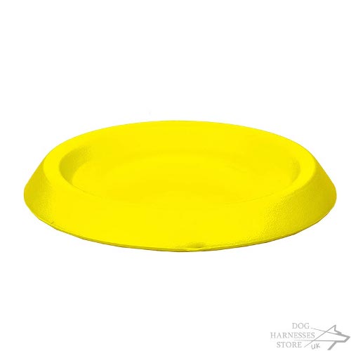 Frisbee Disk for Dogs UK