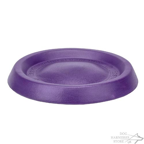 Frisbee Disk for Dogs UK