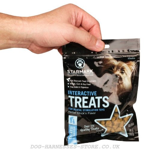 Healthy Dry Dog Food UK