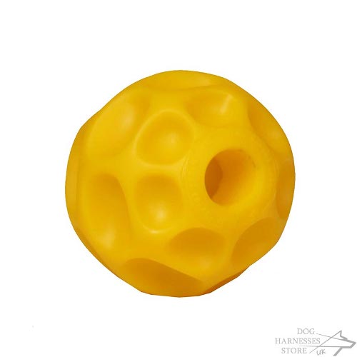 Dog Feeder Ball UK