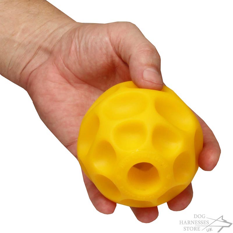 Kibble Nibble Dog Feeder Ball from Star Mark