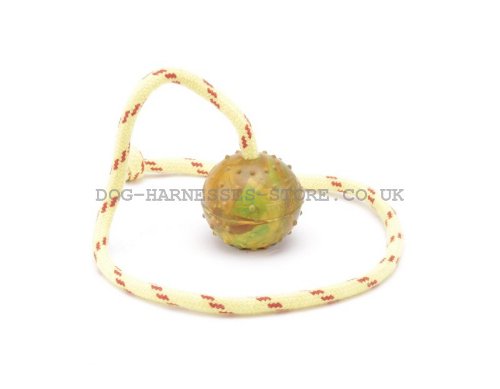 Rubber Dog Ball with Rope