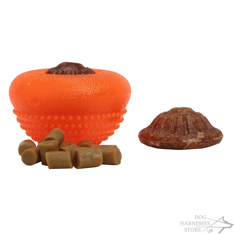 Dog Toys You Can Put Kibble In Dog Toys You Can Put Kibble In