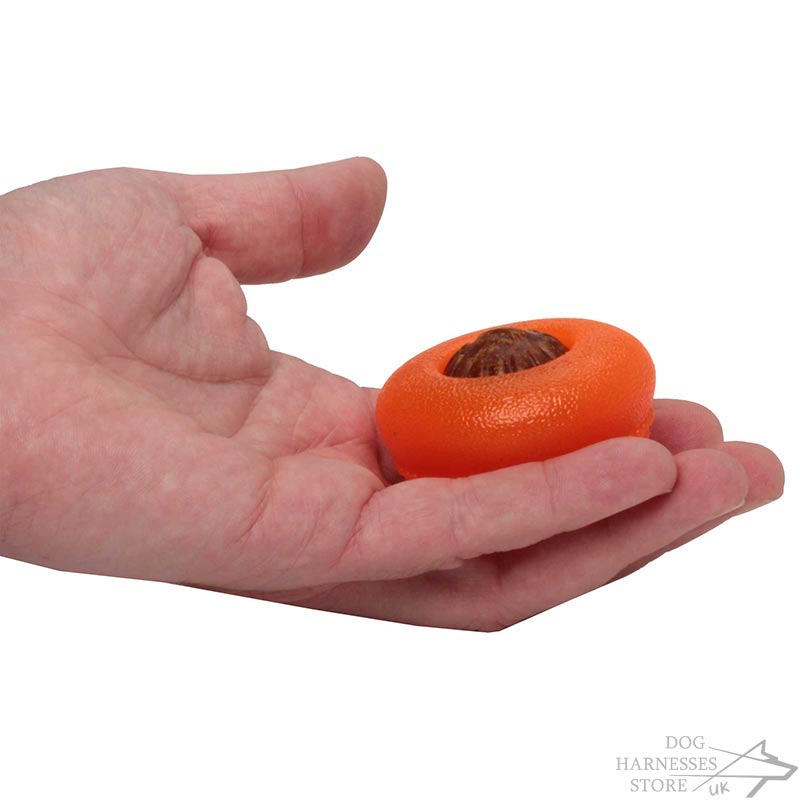 Stimulating Dog Toys Uk Stimulating Dog Toys Uk