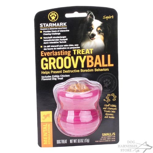 Groovy Ball Dog Toy