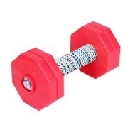 Dog Training Dumbbell Retrieve for IGP, 1000 G