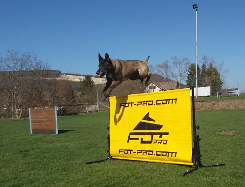 Agility Jumps for Dogs