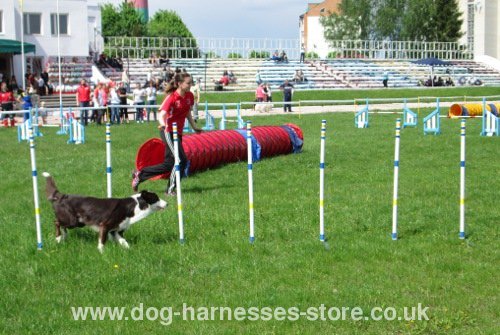 Agility UK