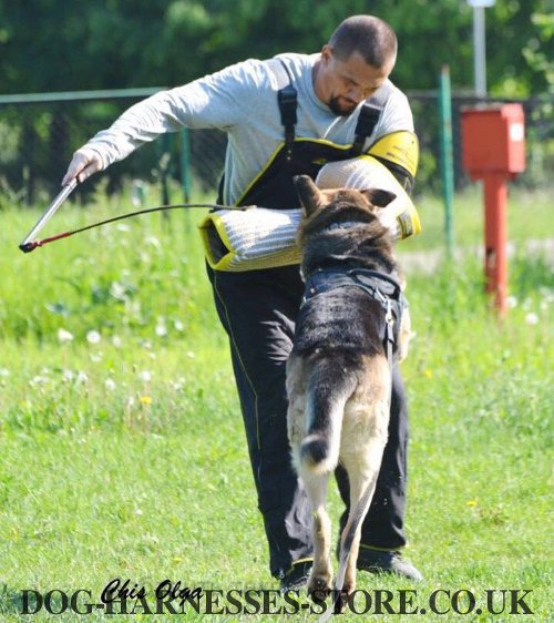 Arm Sleeve for Dog Training UK