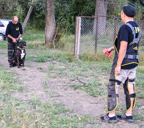 K9 Training Apron