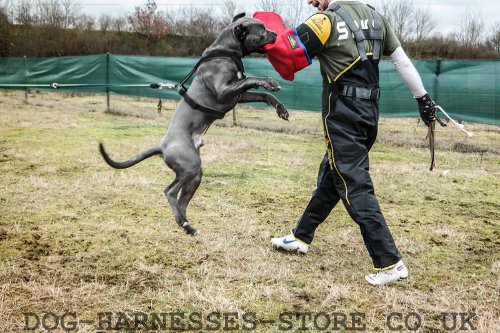 Bite Sleeve Training