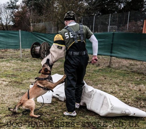 Dog Sleeve for Malinois Training