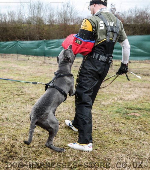 Dog Arm Bite Sleeve