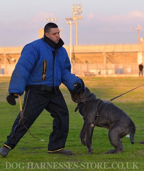 Dog Bite Suit UK