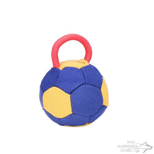 Dog Bite Toy UK