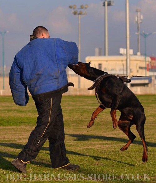 Dog Bite Training Suit for Sale UK