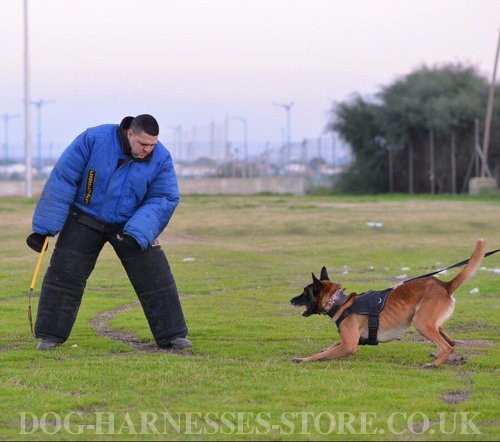 Dog Bite Training Suit K9