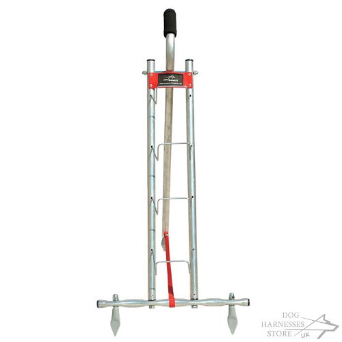 Dog Dumbbell Training Stand UK